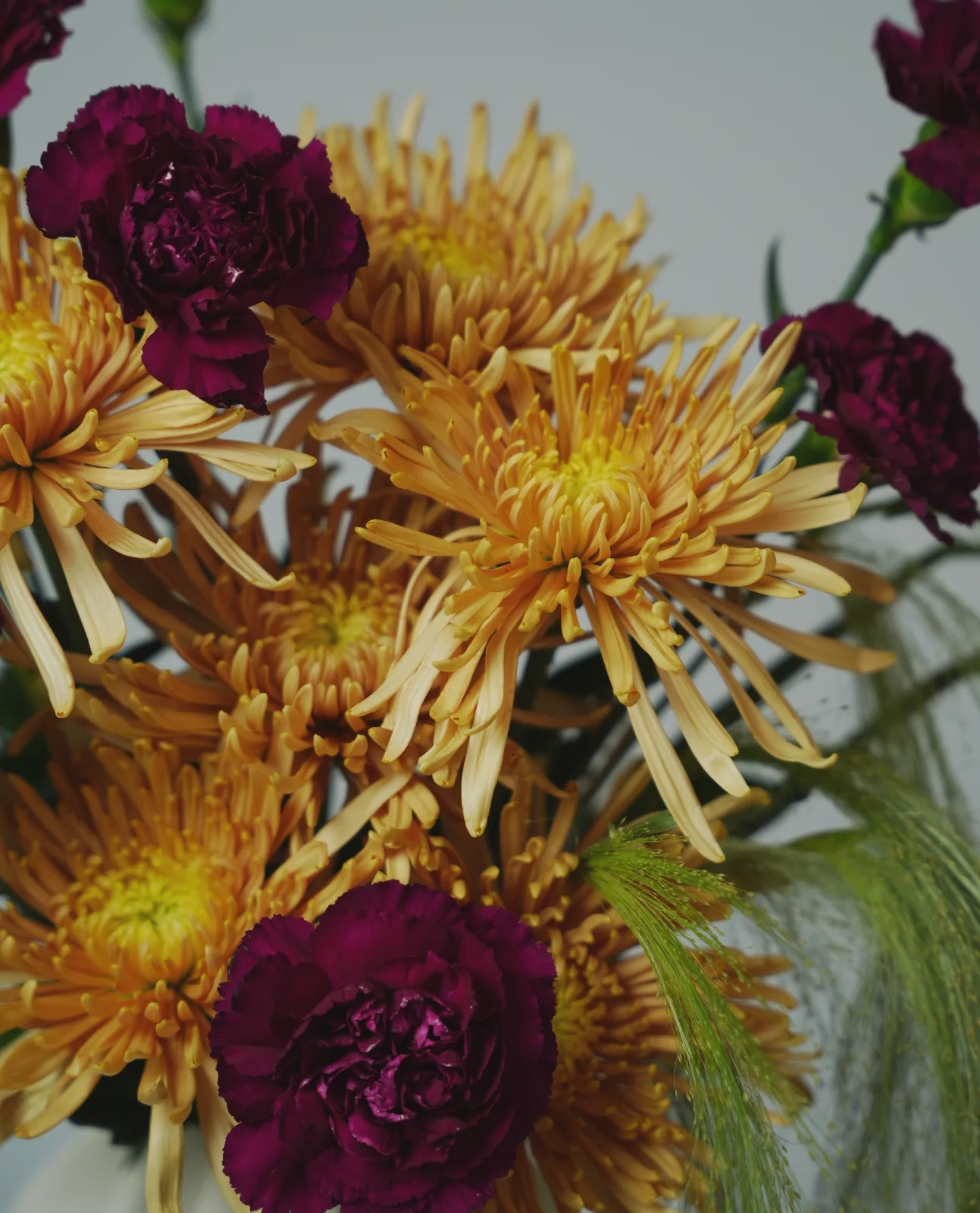 Autumn Whisper thumbnail 4