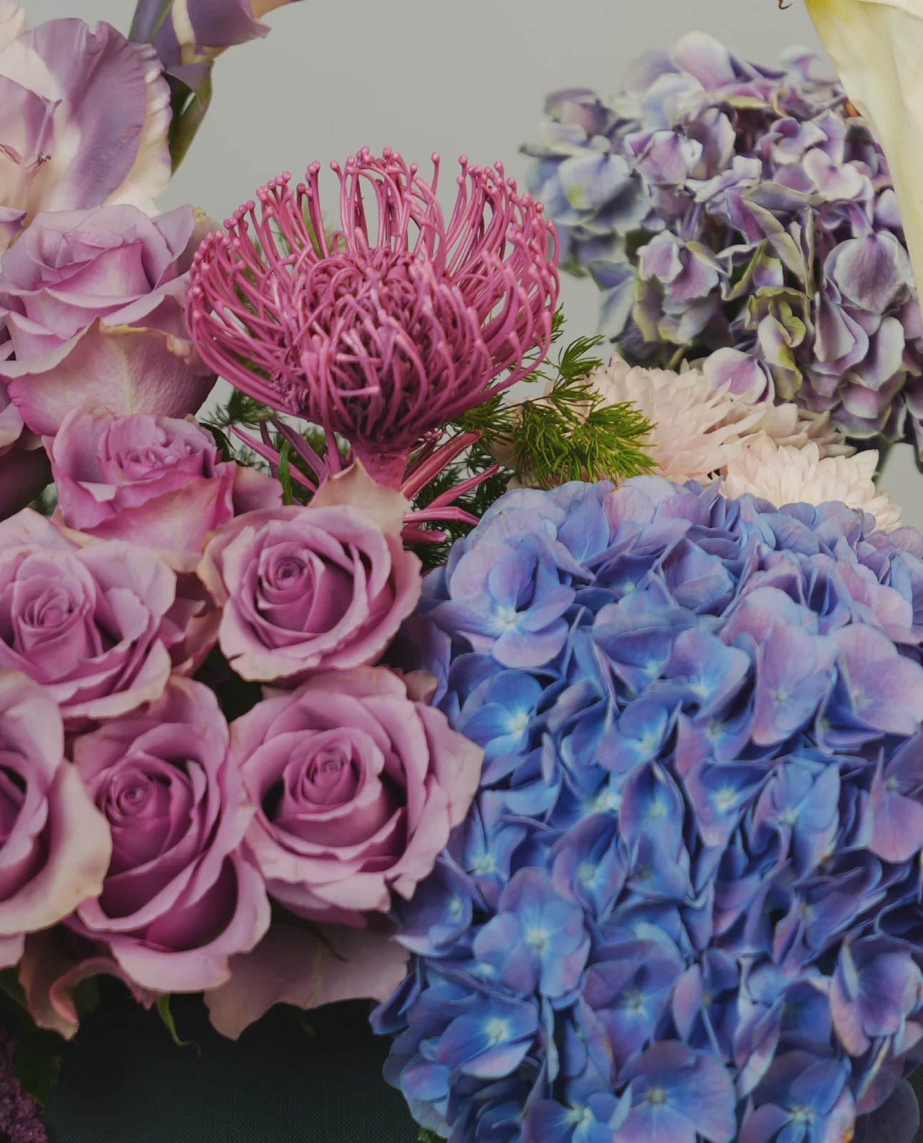 Violet Elegance thumbnail 3