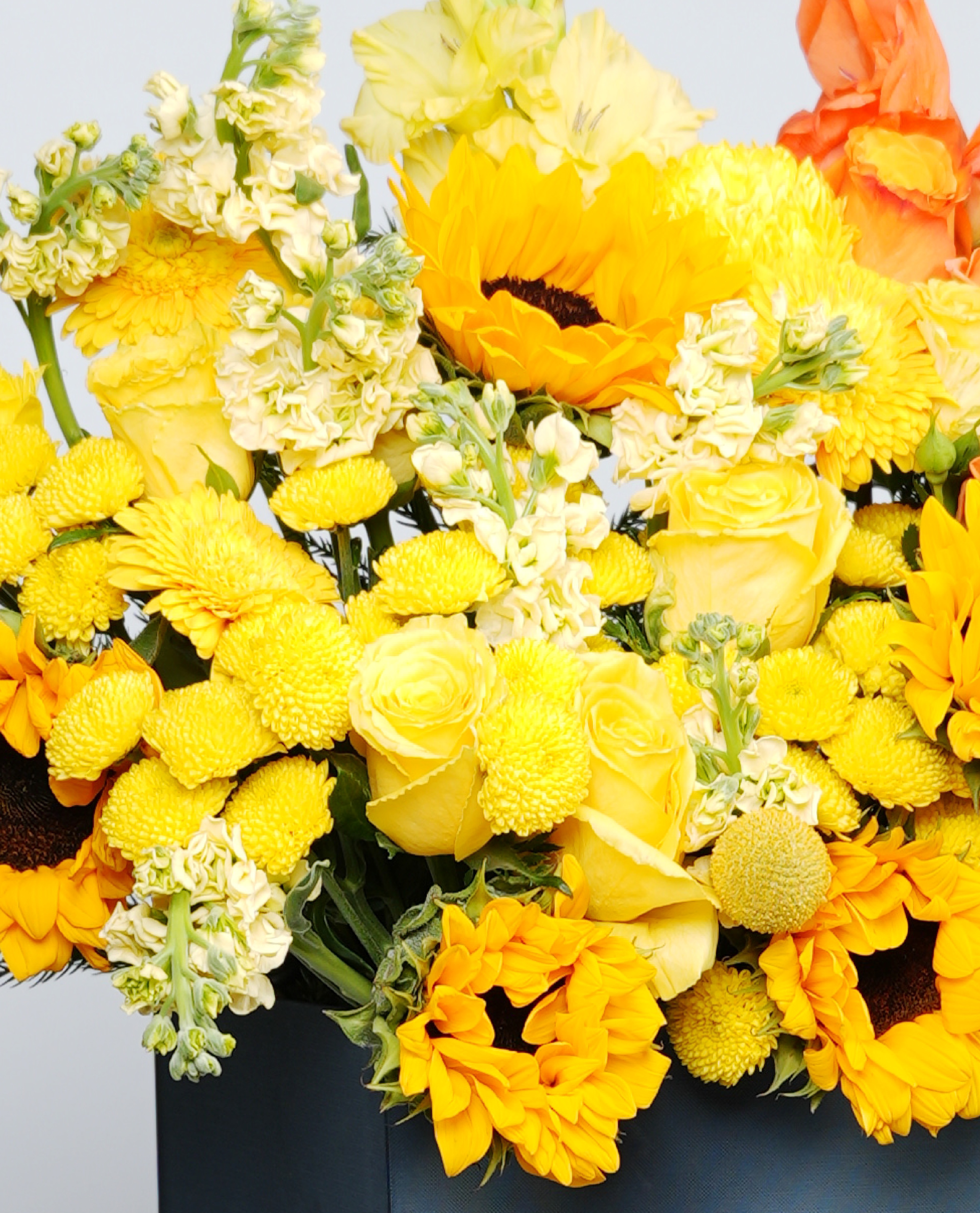 Thirty Blooms of Joy thumbnail 4