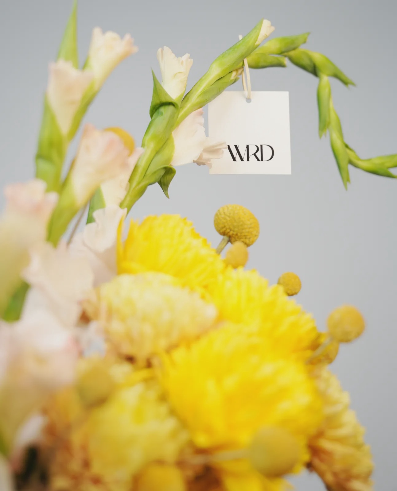 Spring Radiance thumbnail 2