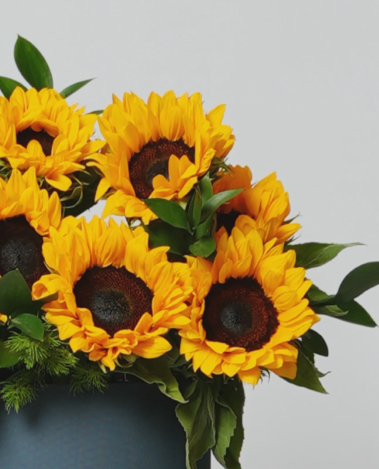 Sunrise Bloom thumbnail 5