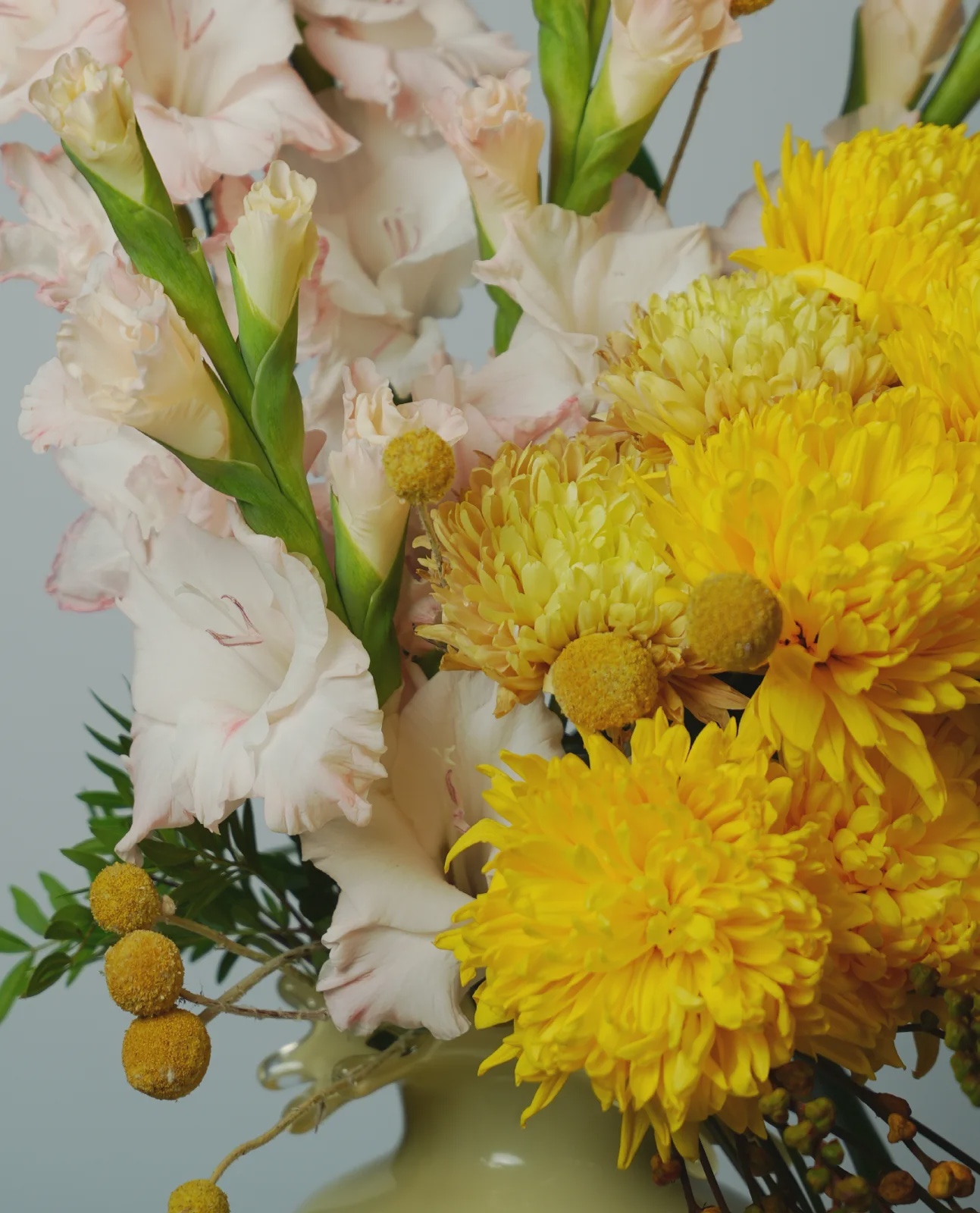 Spring Radiance thumbnail 5