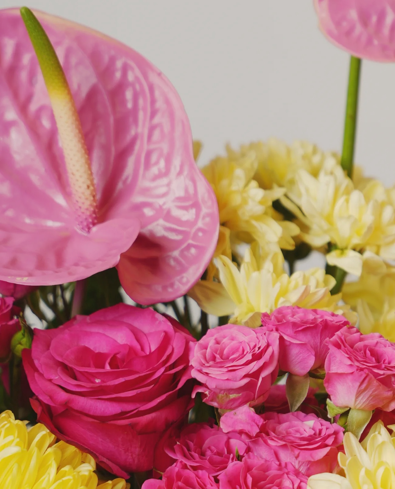 Pink Paradise thumbnail 5