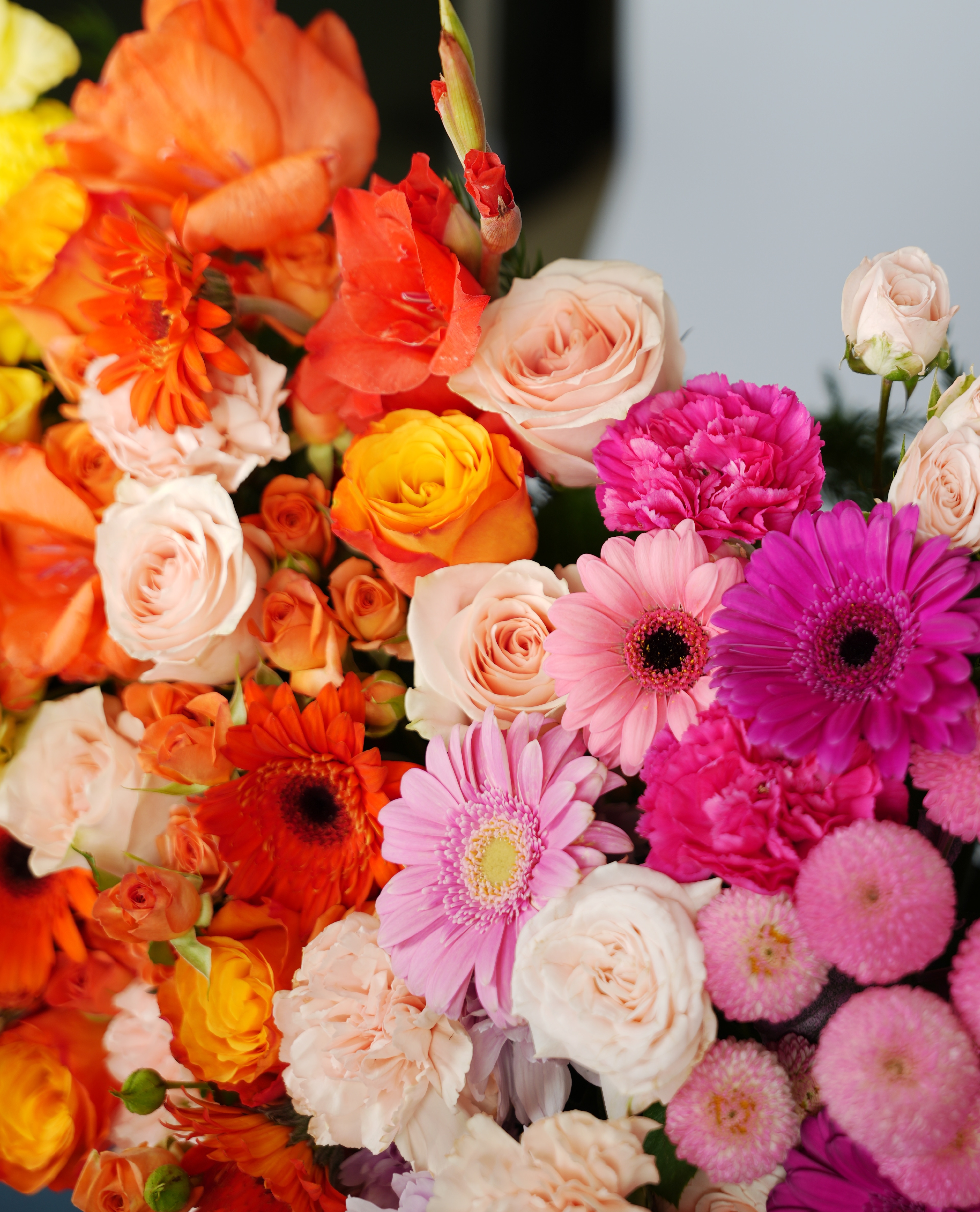 Summer Bloom thumbnail 3