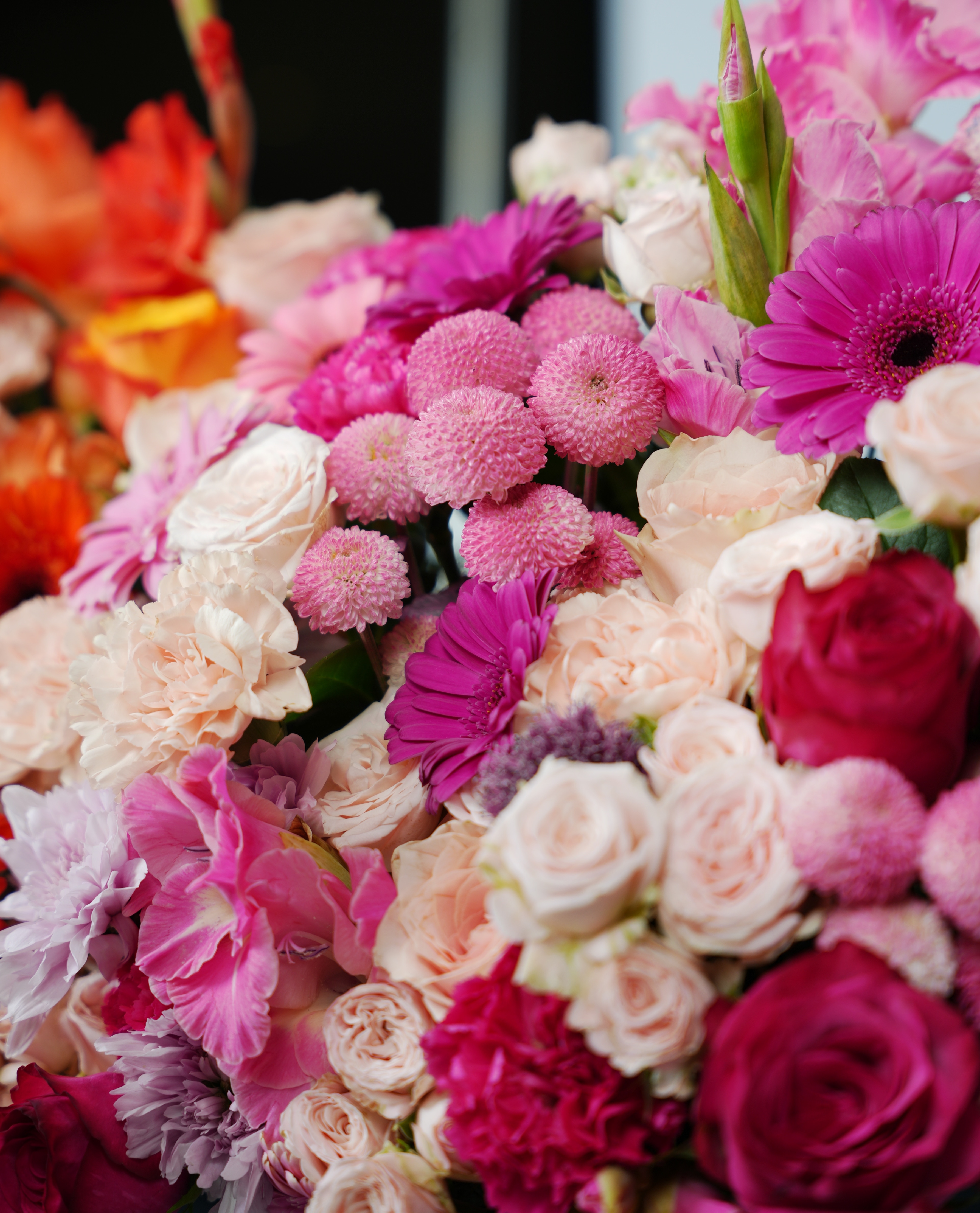 Thirty Blooms of Joy thumbnail 2